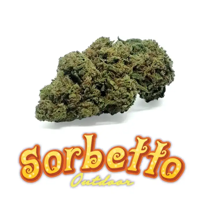 Sorbetto cannabis light outdoor di er canaparo