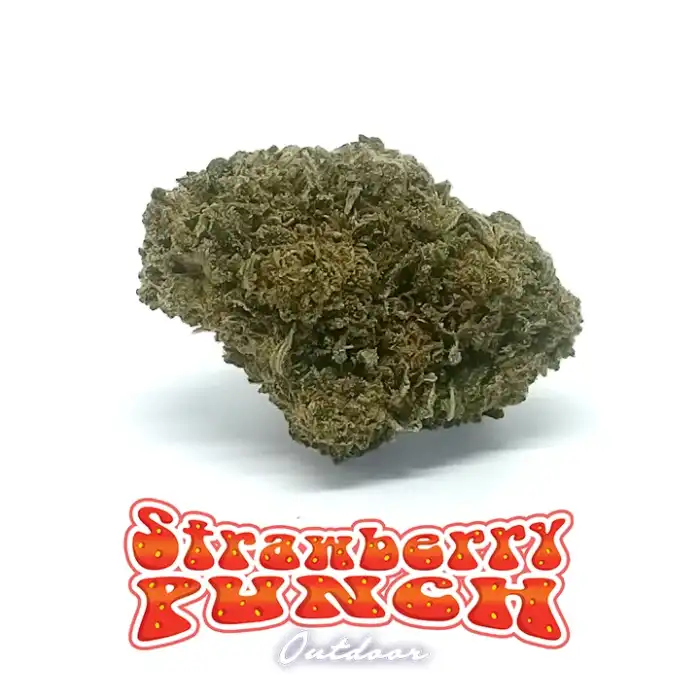Strawberry-punch-er canaparo- cannabis light - CBD