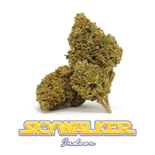 Skywalker cannabis light fiore