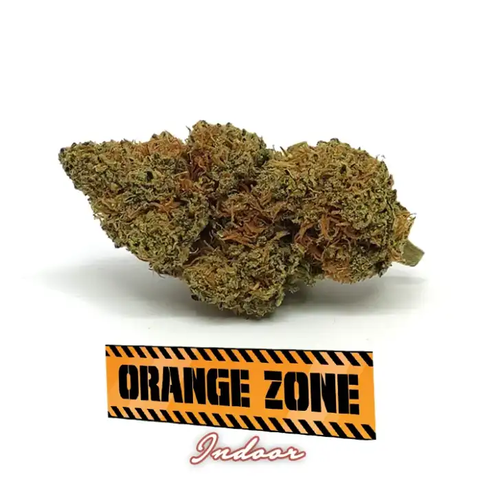 Orange zone - cannabis light - er canaparo