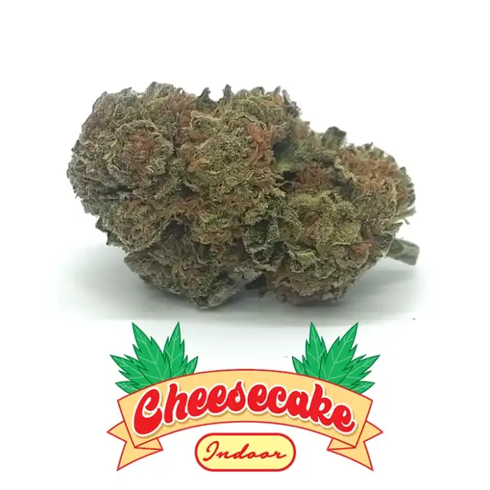 Cheesecake er canaparo cannabis light