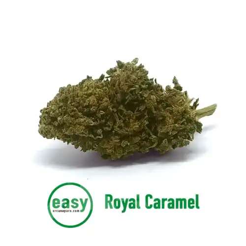 Linea easy CBD - Royal caramel - cannabis light