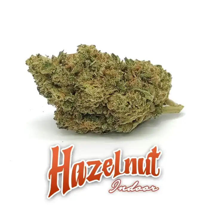 Cannabis light Hazelnut CBD