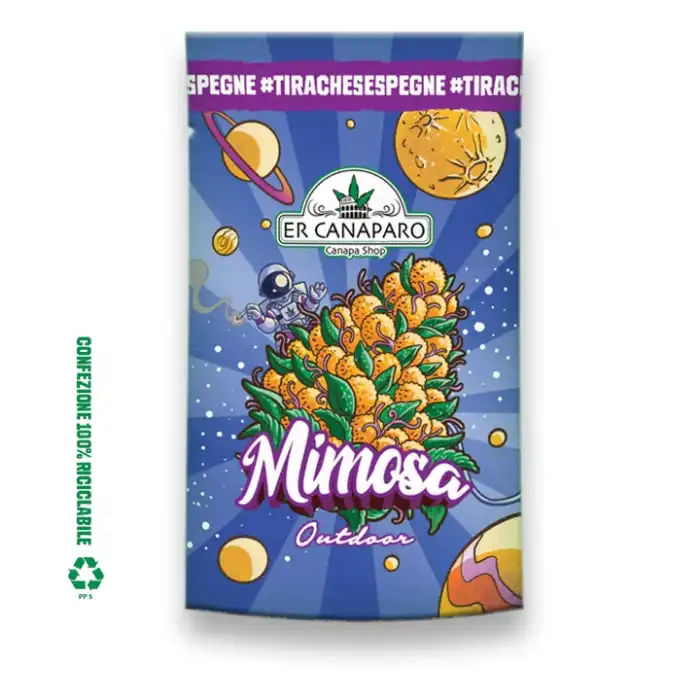 Mimosa bustina - er canaparo CBD