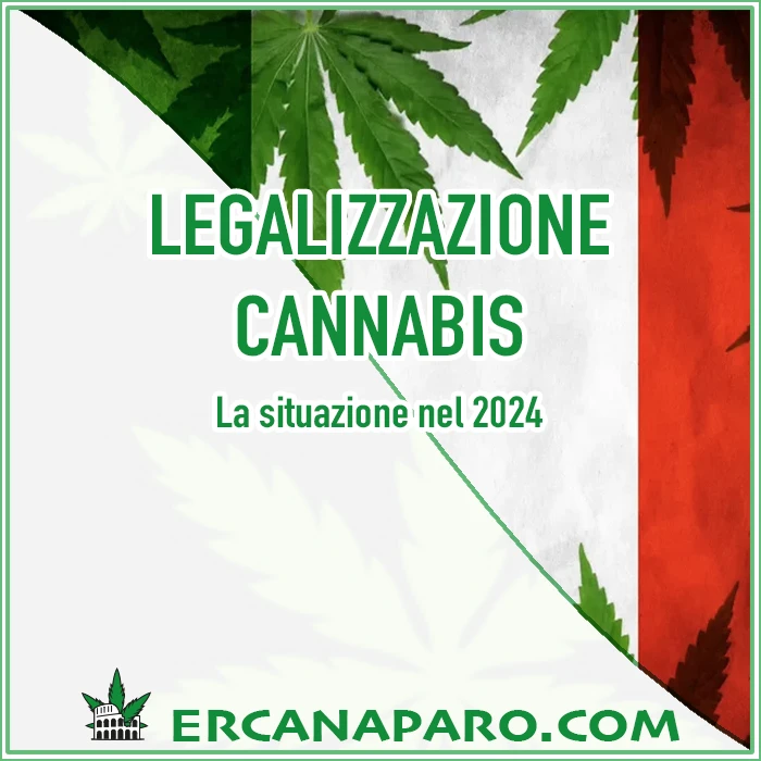 Legalizzazione cannabis 2024