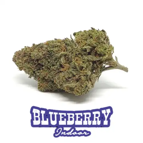 Cannabis light Blueberry fiore